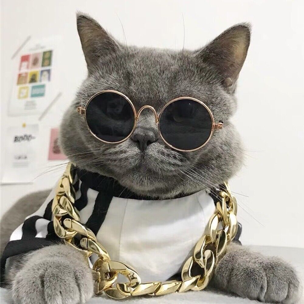 Kính mát đen cho chó mèo