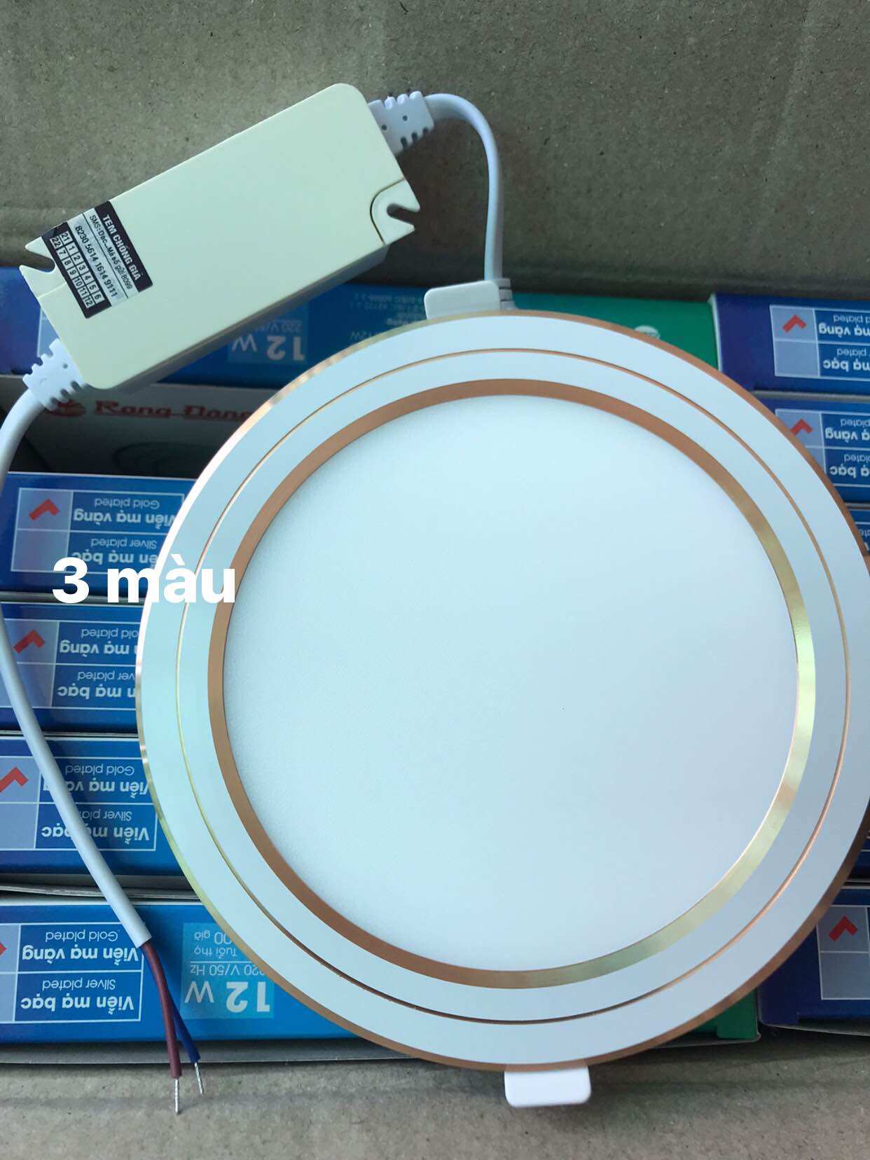Bóng đèn âm trần 12w/135 Rạng Đông