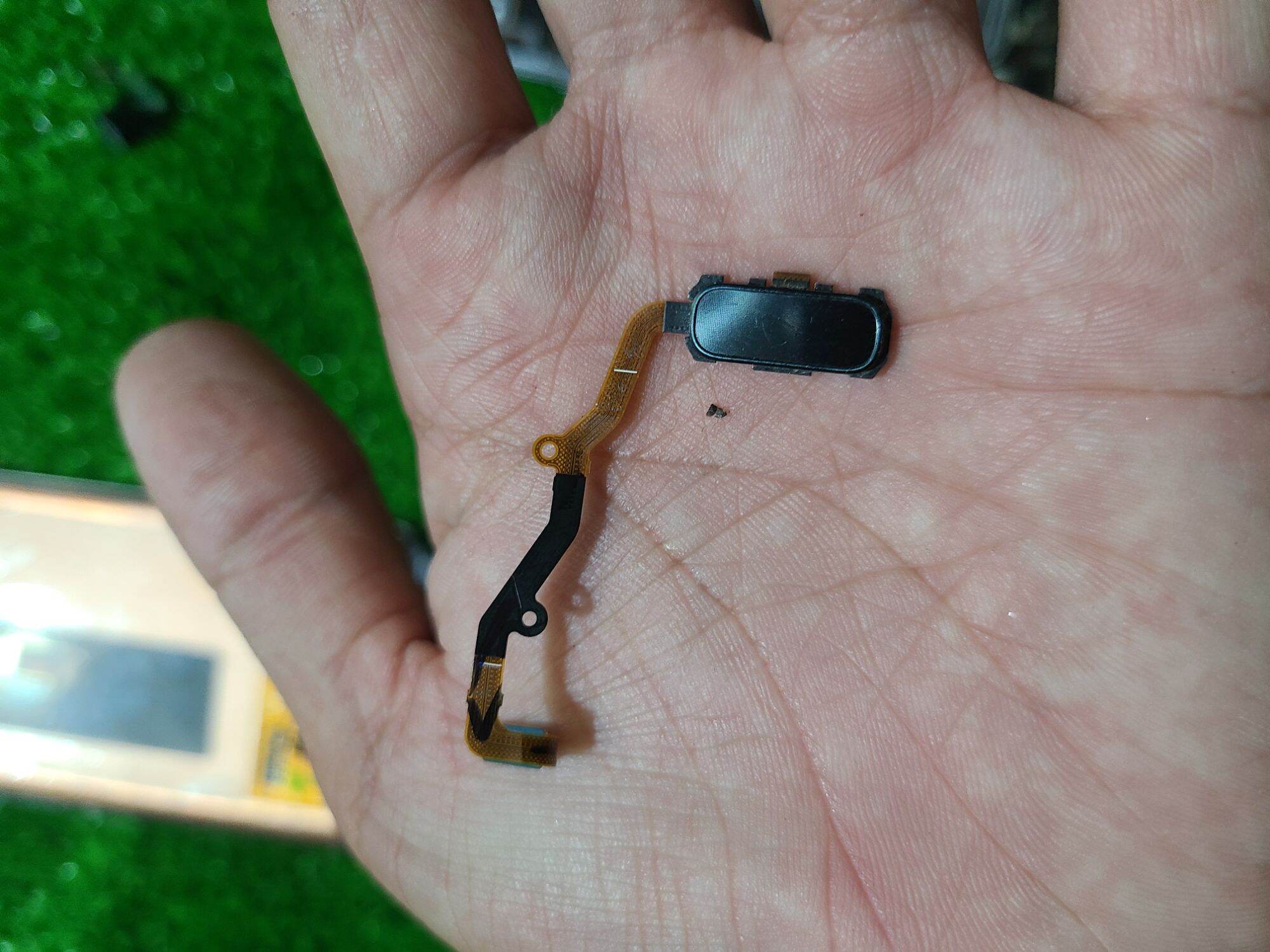 Nút vân tay samsung S7 edge