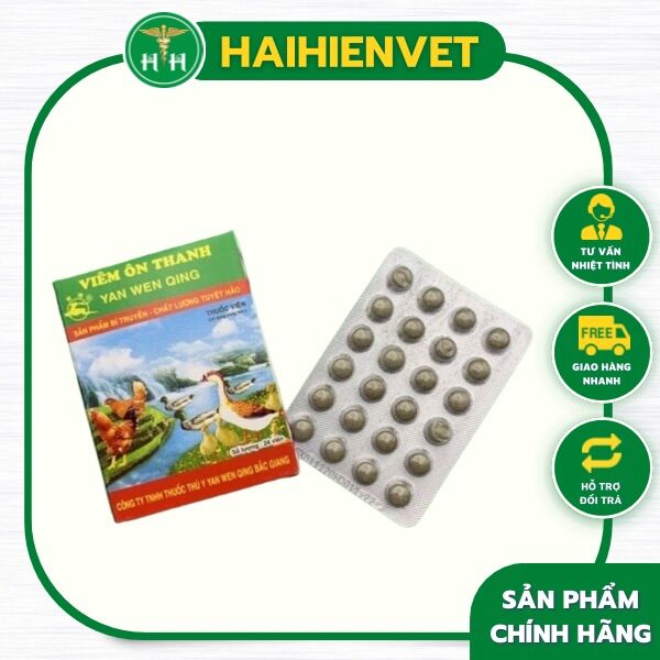 1 vỉ viêm ôn thanh bắc giang - gà đá, gà chọi, gà tre chim cảnh