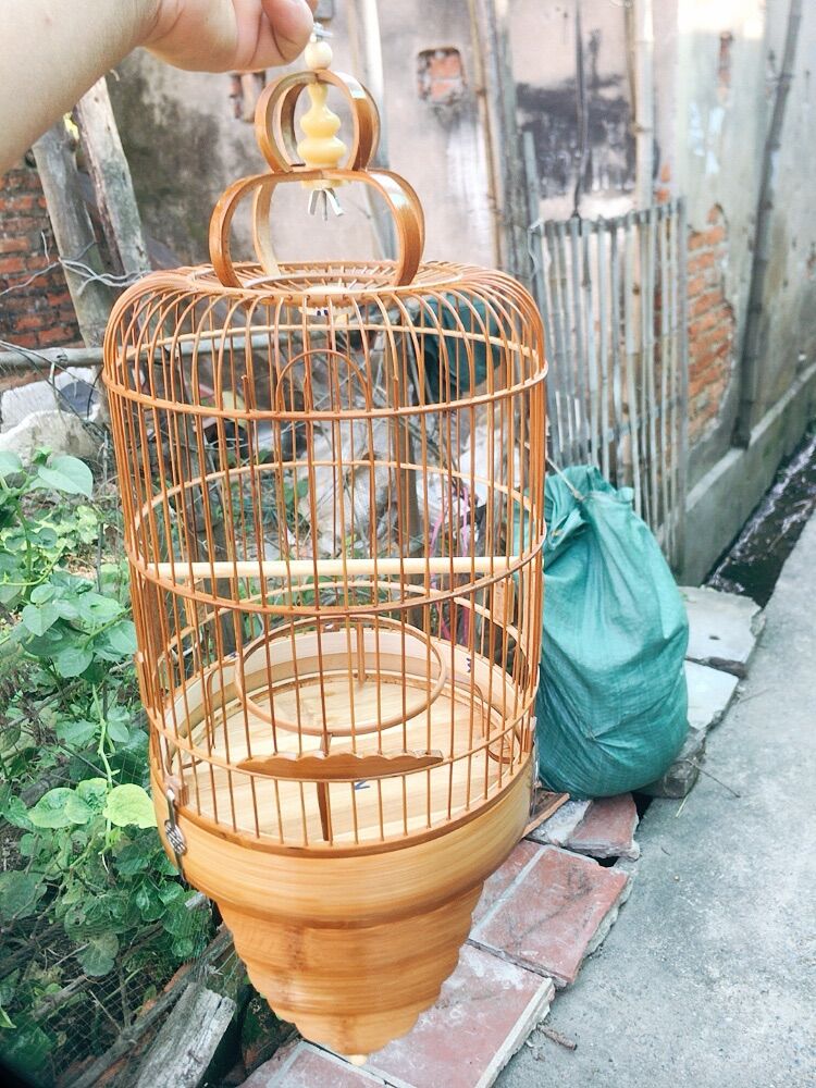 LỒNG KHUYÊN CHÂN CAO NAN KHÍT