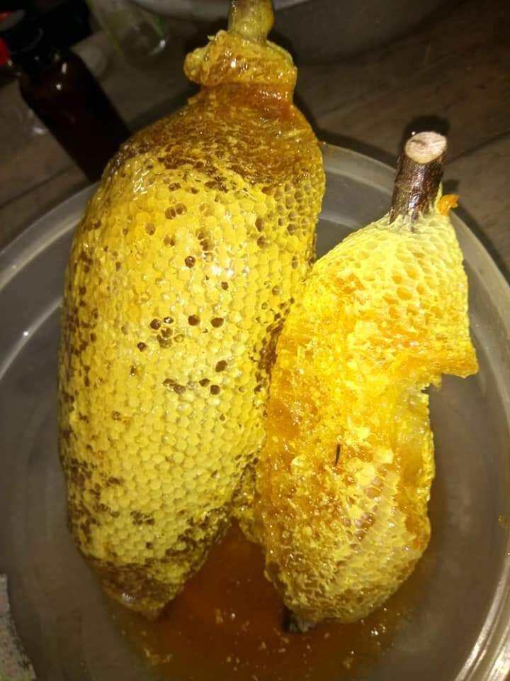 MẬT ONG RUỒI NGUYÊN TỔ, 1kg