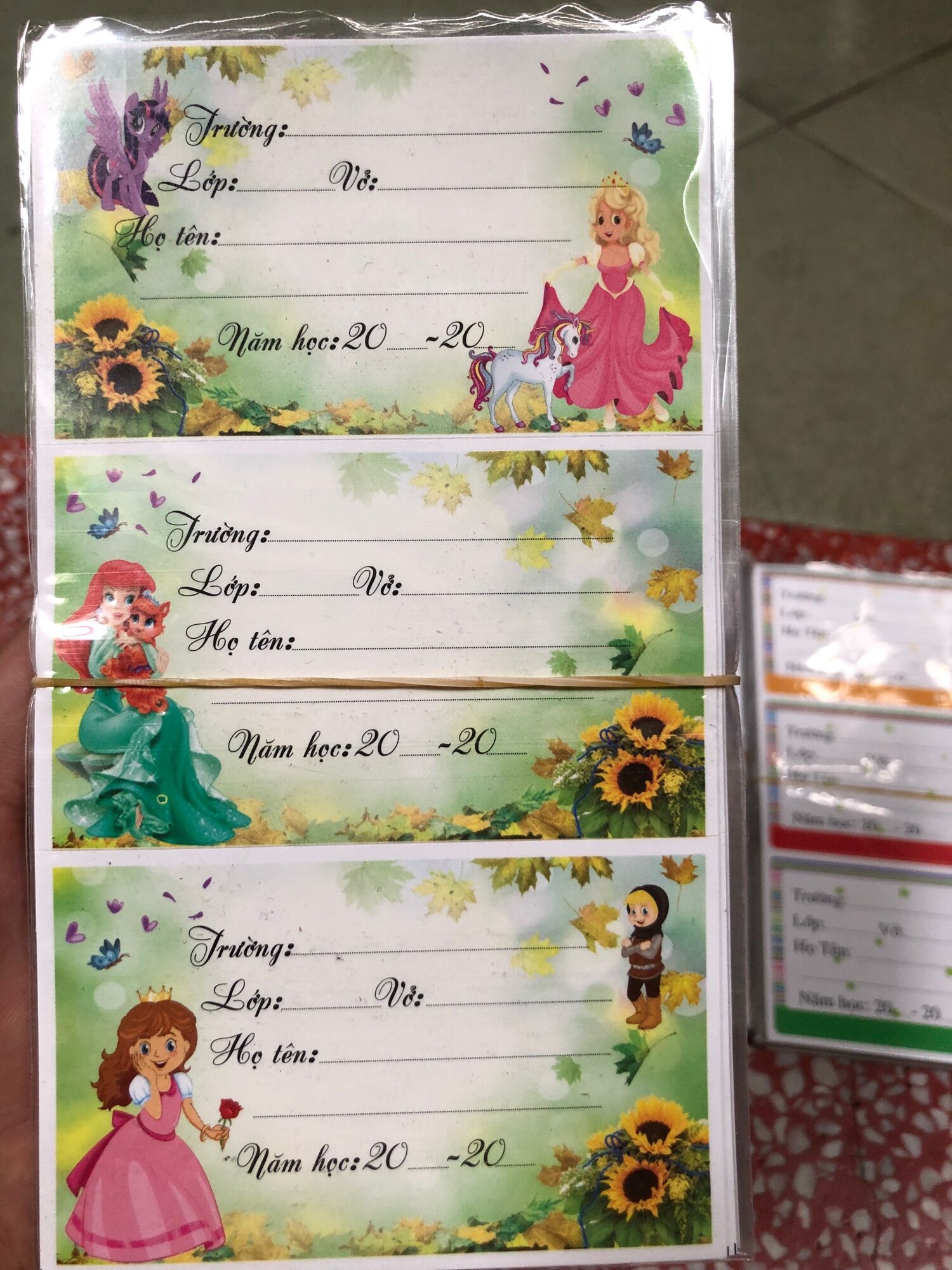 Nhãn vở Decal ( 12 nhãn) dành cho học sinh
