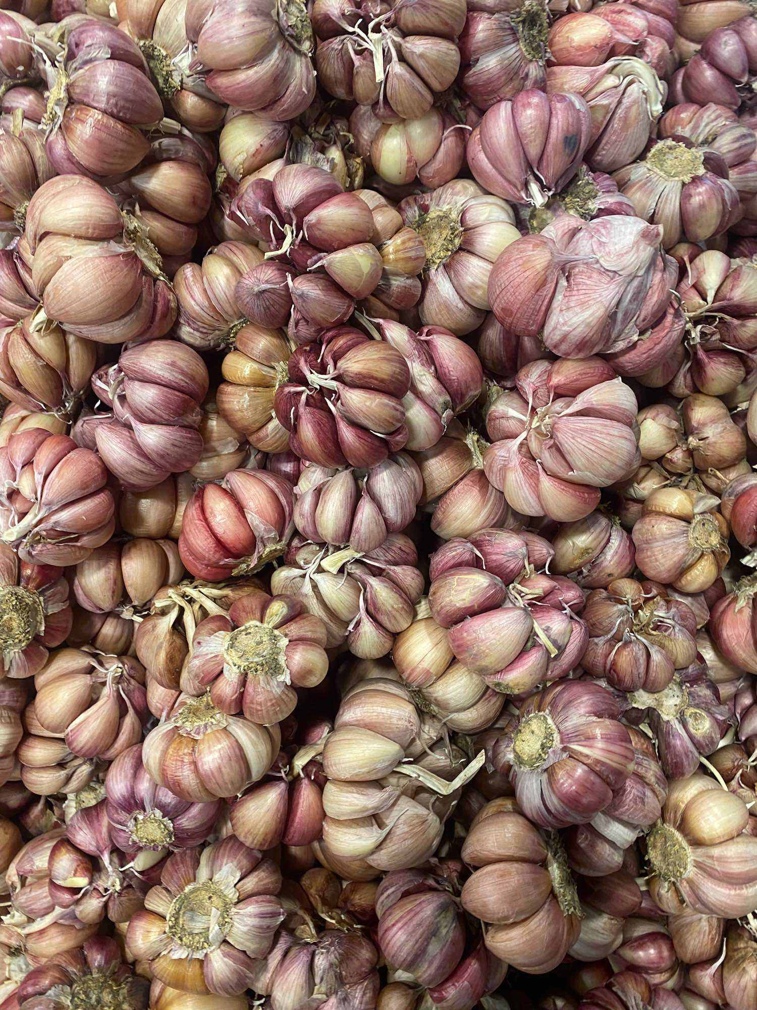 Tỏi tím đà lạt 1kg