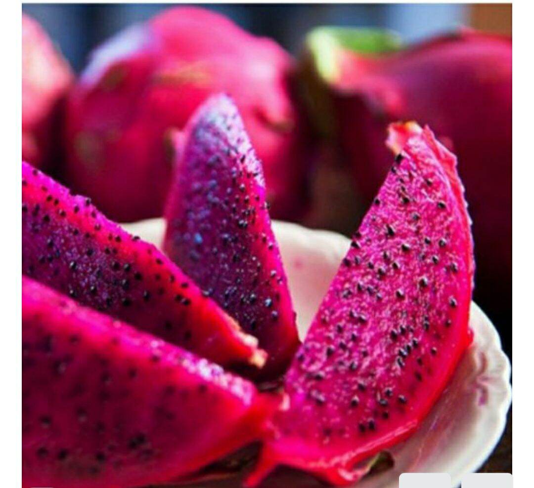 4 cây thăng long ruột đỏ