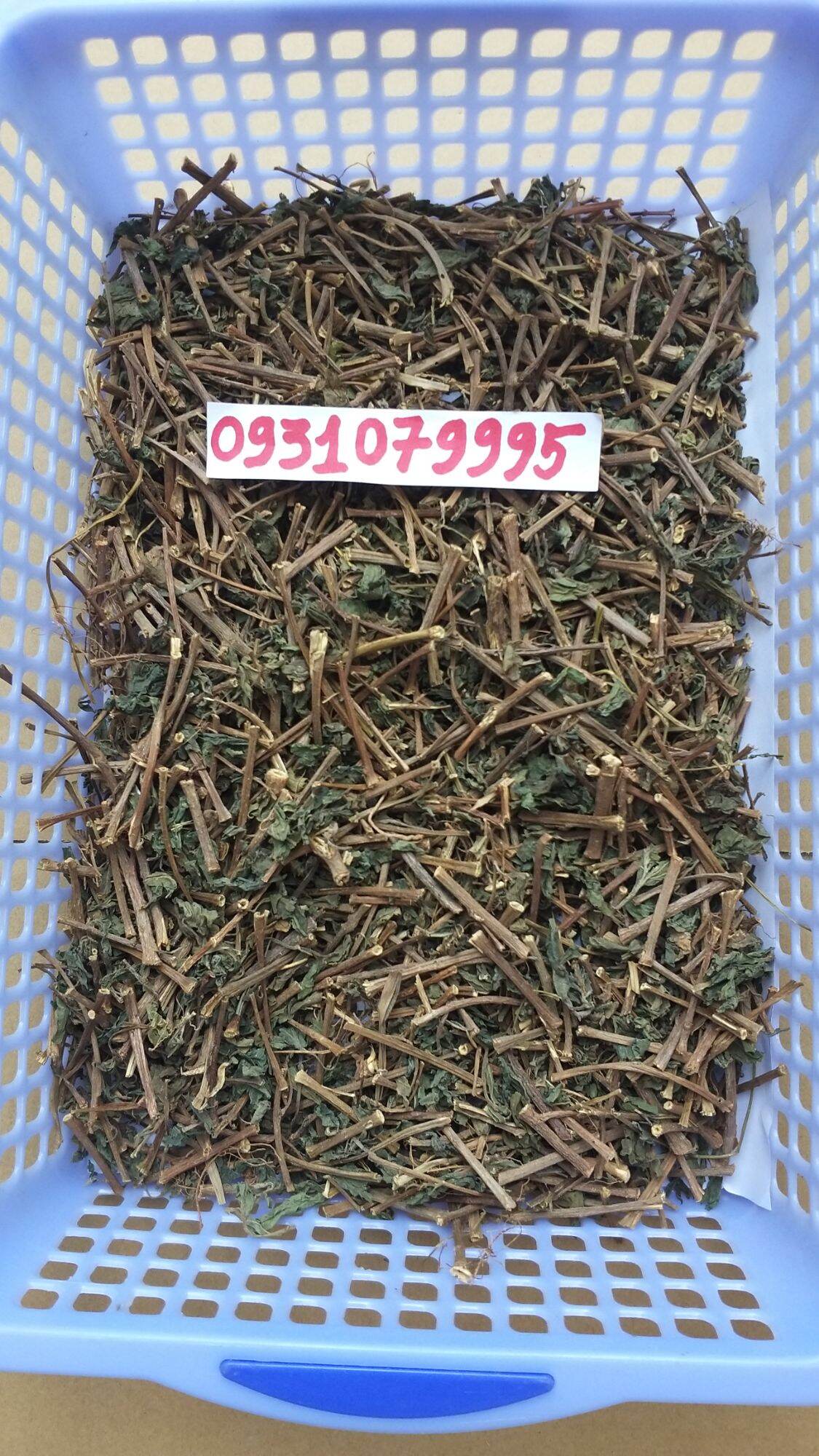 cây lá dòi - lá dòi tía phơi khô 1kg