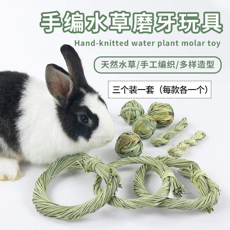 Đồ Chơi Cỏ Nước Thủ Công Mài Răng Thỏ Cho Thú Cưng Đồ Chơi Mài Răng Chuột Chinchilla Chuột Hamster Bóng Cỏ Chuỗi Cỏ Thanh Mài Răng