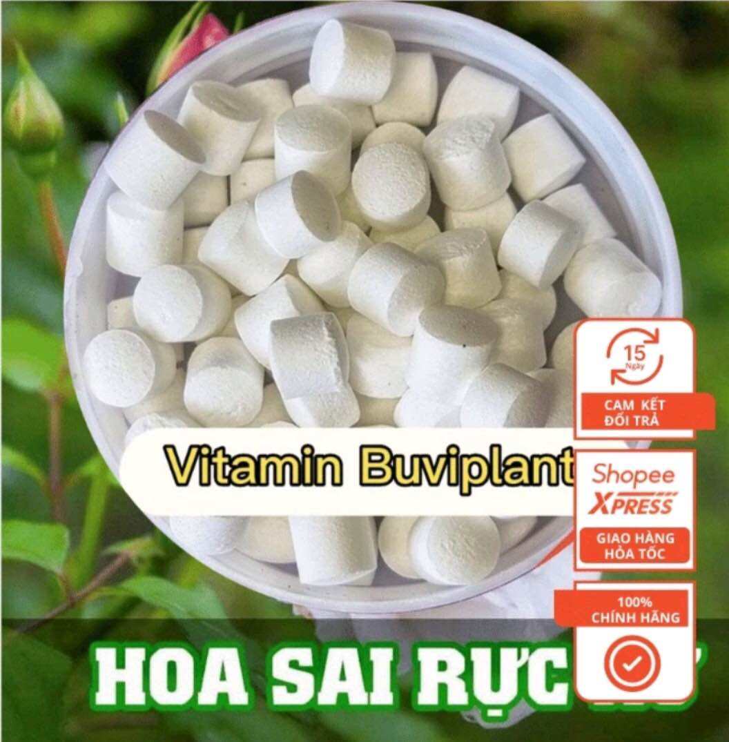 Combo 200 viên Phân tan chậm BUVIPLANT dinh dưỡng cho các loại cây