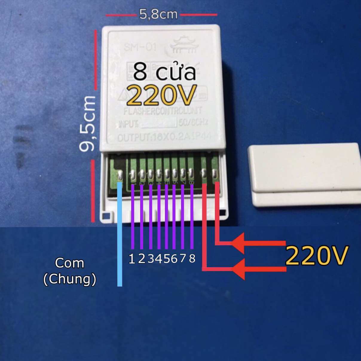 Mạch khiển led 220v 8 cổng (8x0,2A)hiệu ứng sóng nước