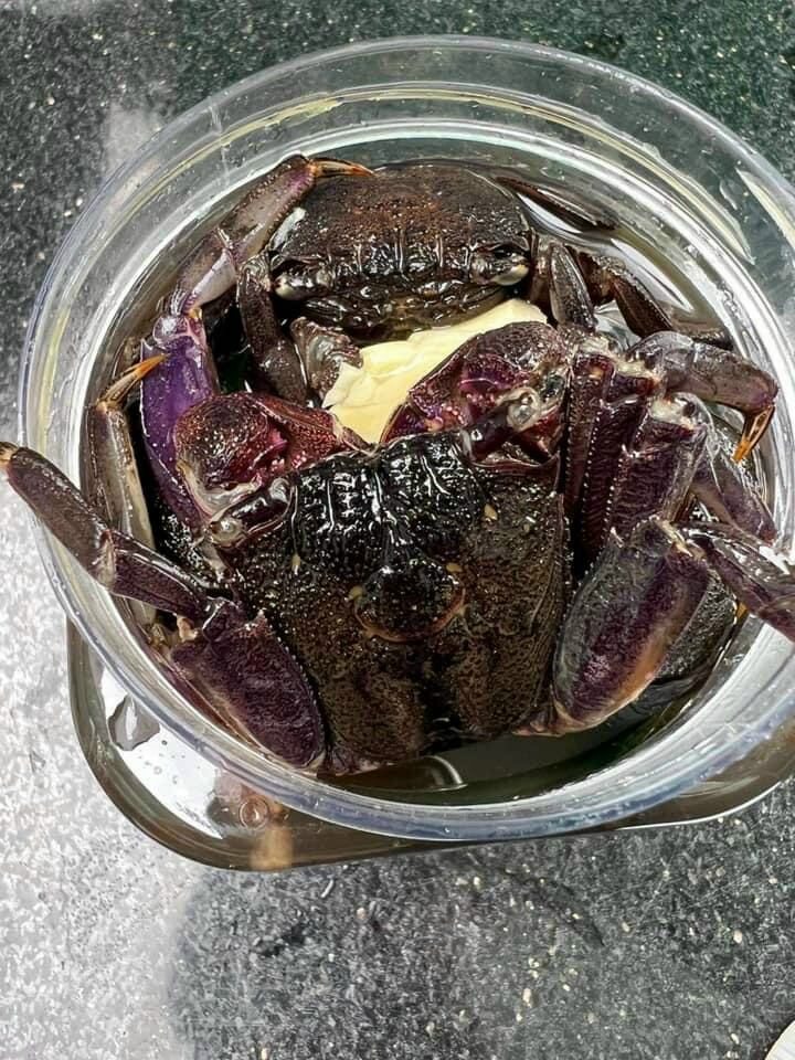 𝐁𝐀 𝐊𝐇𝐈́𝐀 𝐍𝐆𝐔𝐘𝐄̂𝐍 𝐂𝐎𝐍 𝐂𝐇𝐔̛𝐀 𝐓𝐑𝐎̣̂𝐍
 500g