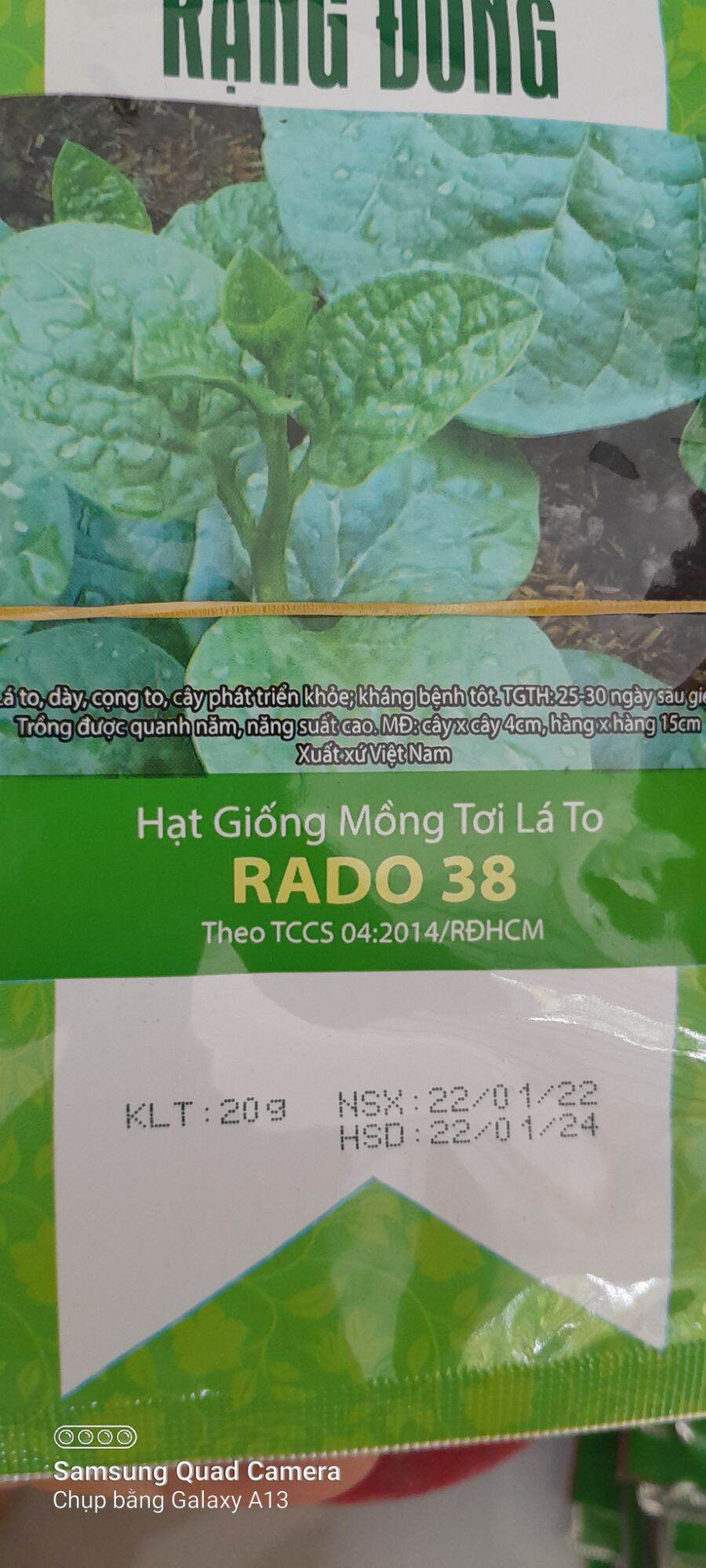 20g hạt giống Mồng tơi lá to