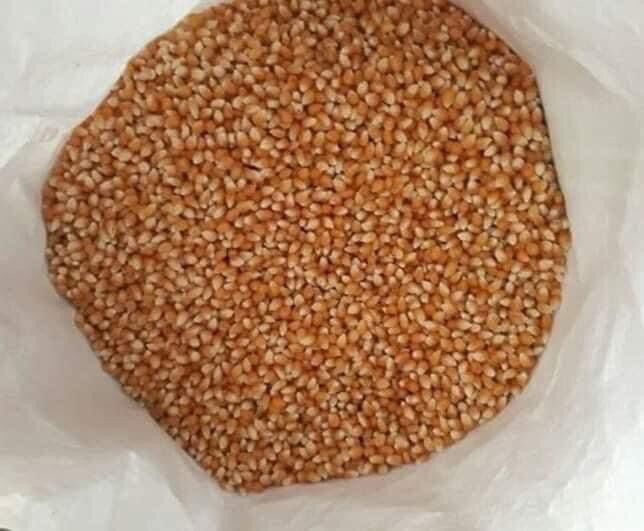 SÉT BẮP RANG BƠ TỰ LÀM TẠI NHÀ ( 500g Ngô + 150g Bơ )