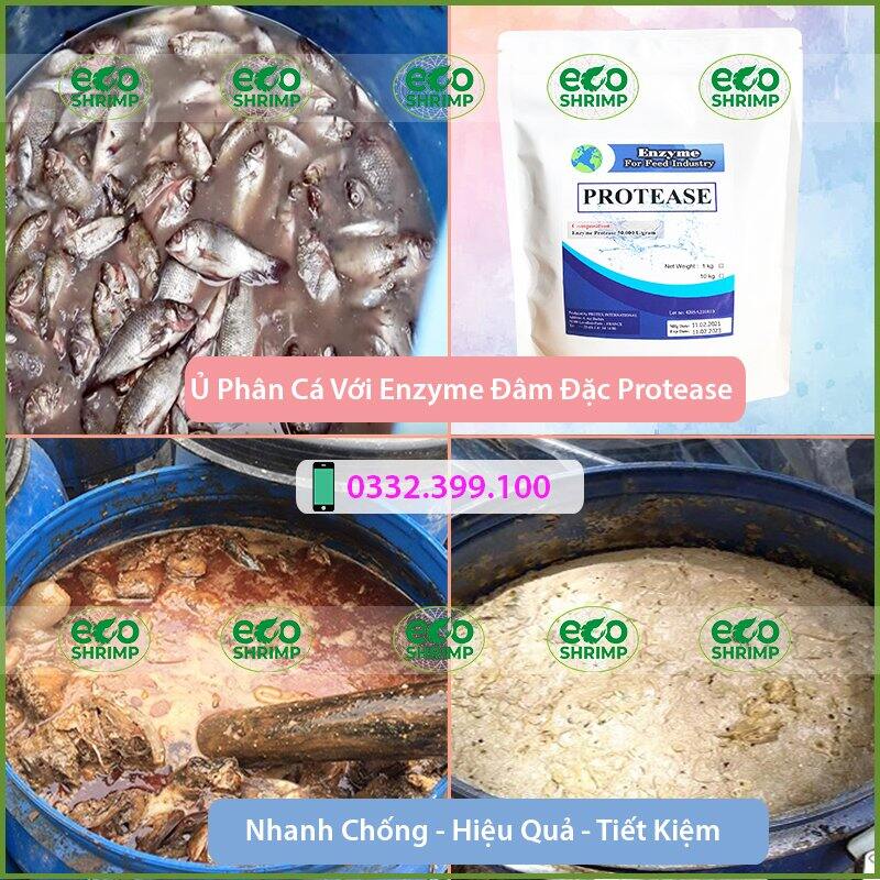 1kg men ủ phân cá enzyme protease nguyên liệu nhập khẩu 100% , xử lý nước , ủ phân cá hàm lượng cao# gói 1kg