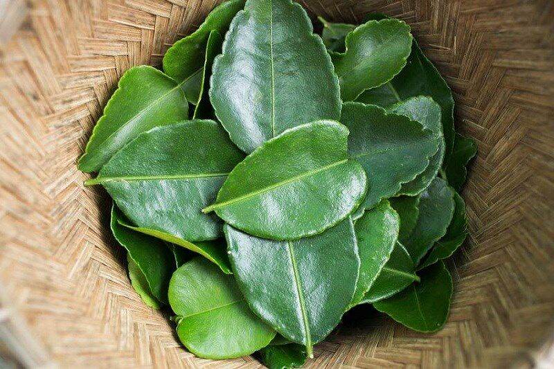 Lá chanh tươi 100g