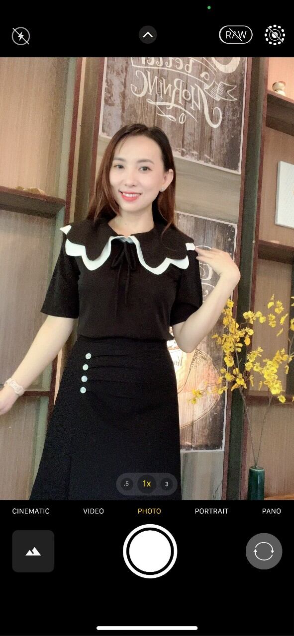 Áo kiểu nữ - công sở đẹp - áo cổ dún bèo tay lỡ -