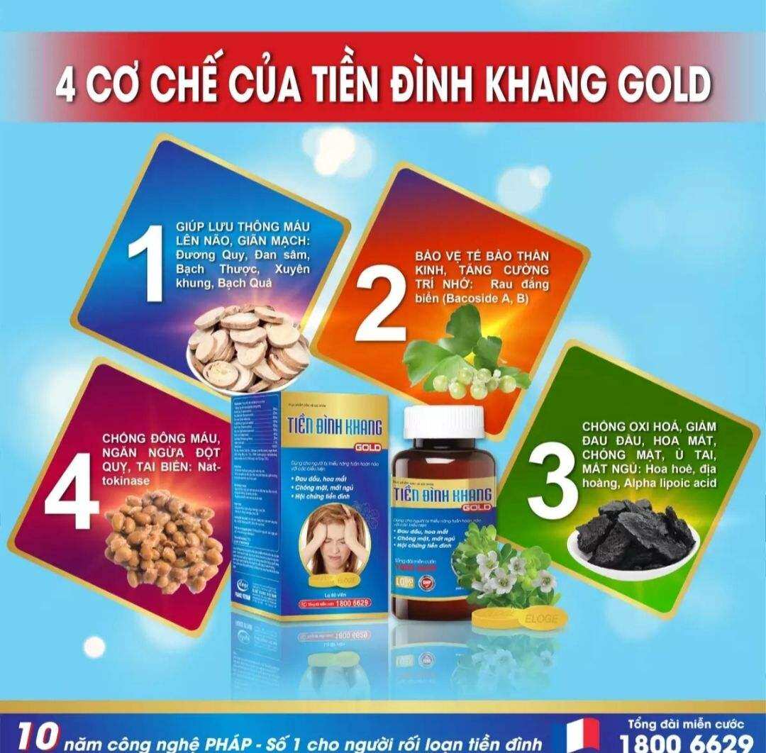 Tiền đình khang GOLD (60v) - Hỗ trợ rối loạn tiền đình: hoa mắt, chóng mặt, mất thăng bằng khi thay đổi tư thế