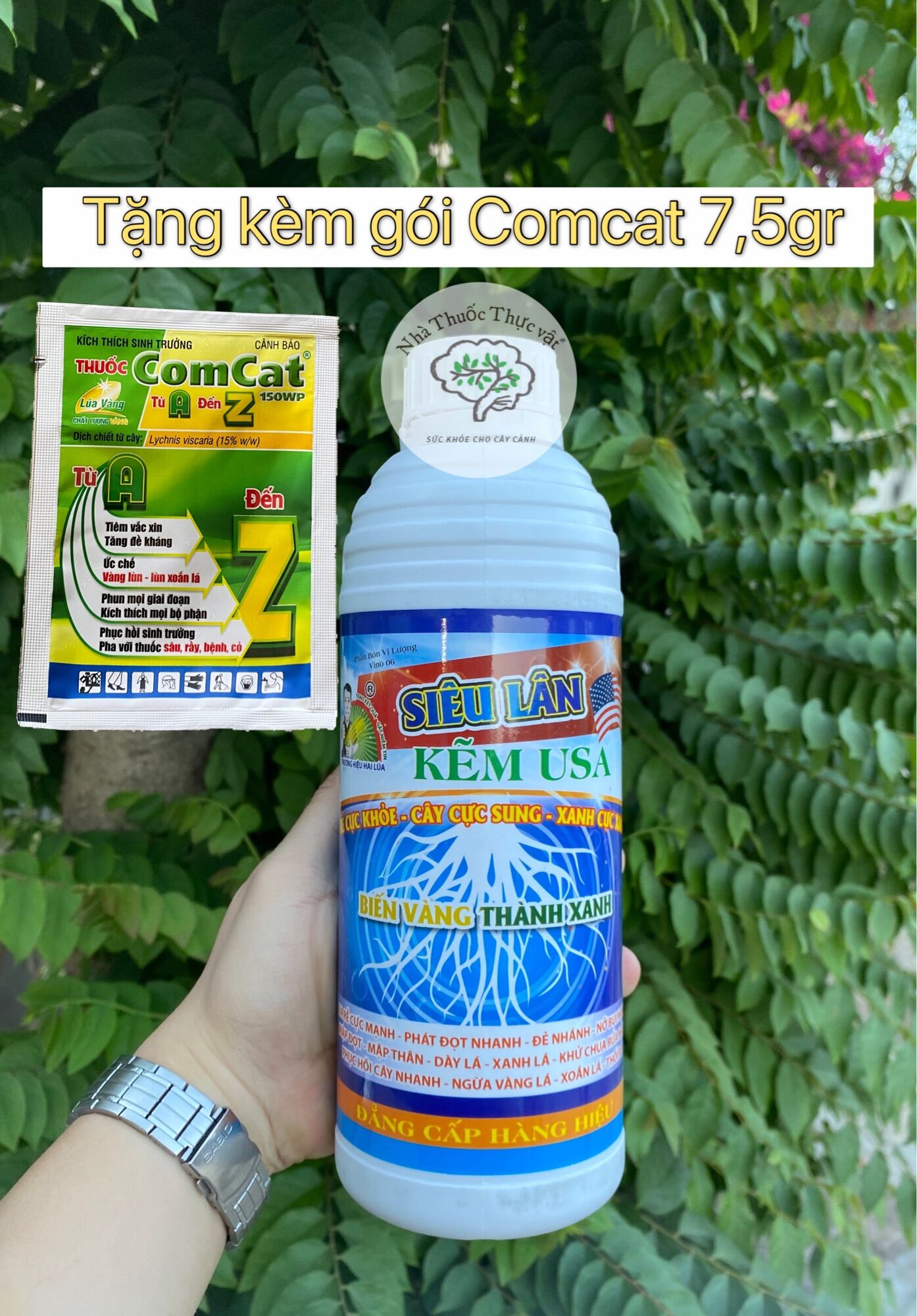Phân bón Siêu lân kẽm 1 lit USA tặng kèm gói phân Comcat 7,5g lúa vàng