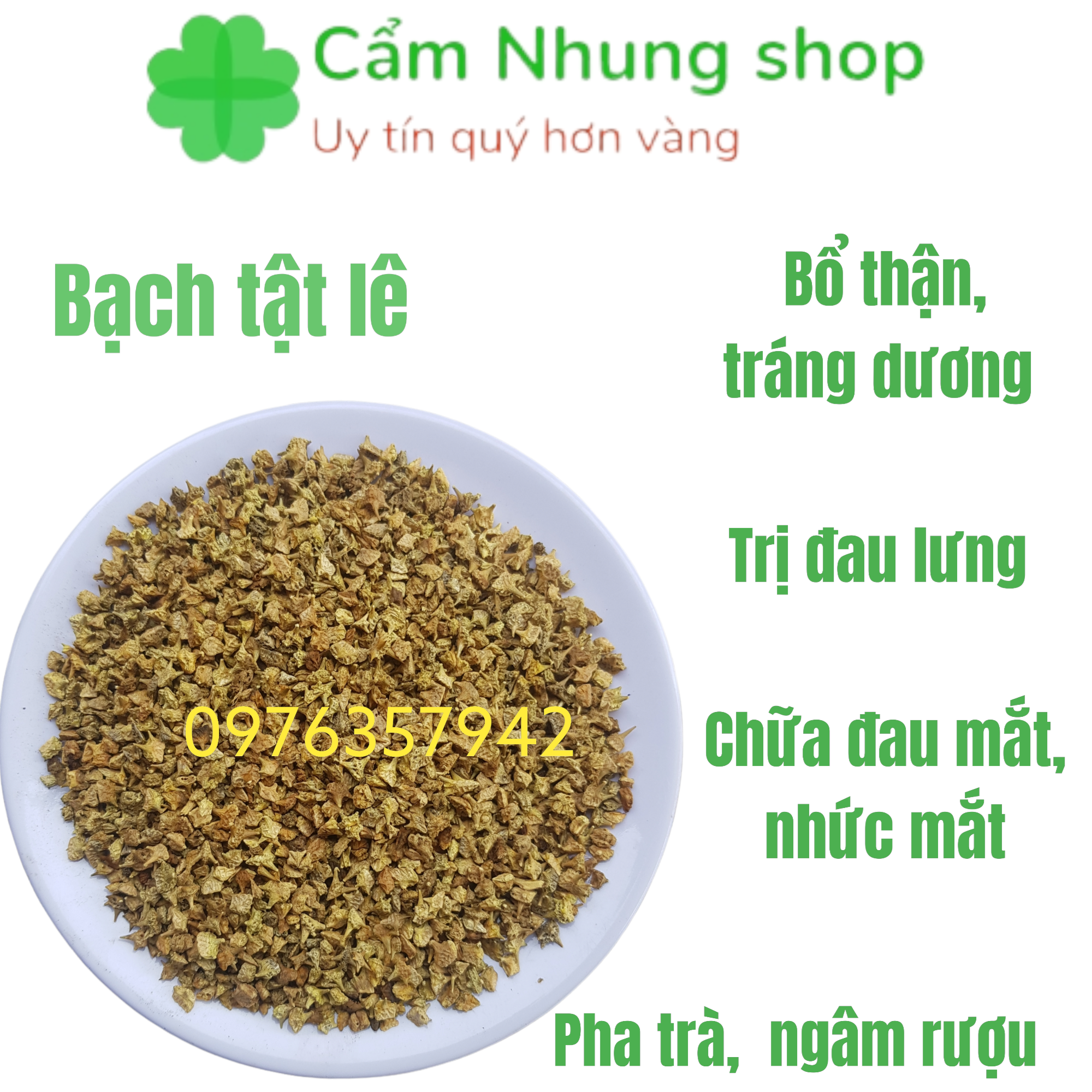 1kg trà bạch tật lê