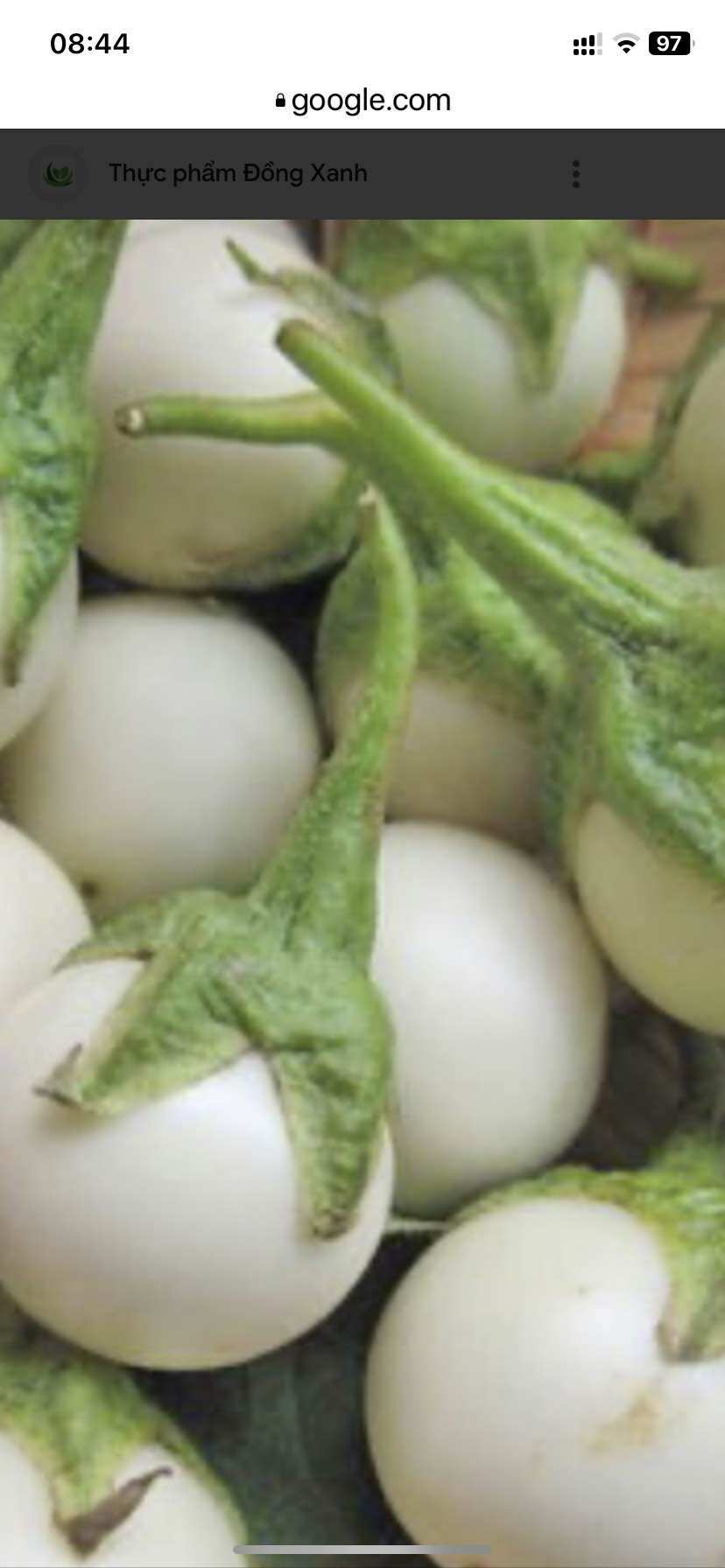 Cà pháo tươi 2kg