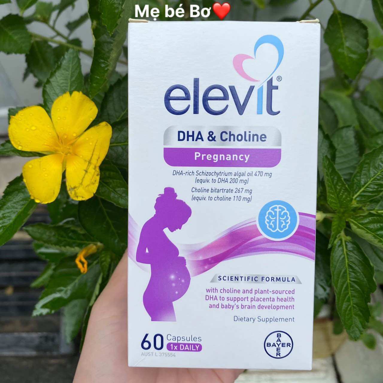 Viên DHA Elevit Úc dành cho mẹ bầu và cho con bú, hộp 60 viên, mẫu mới