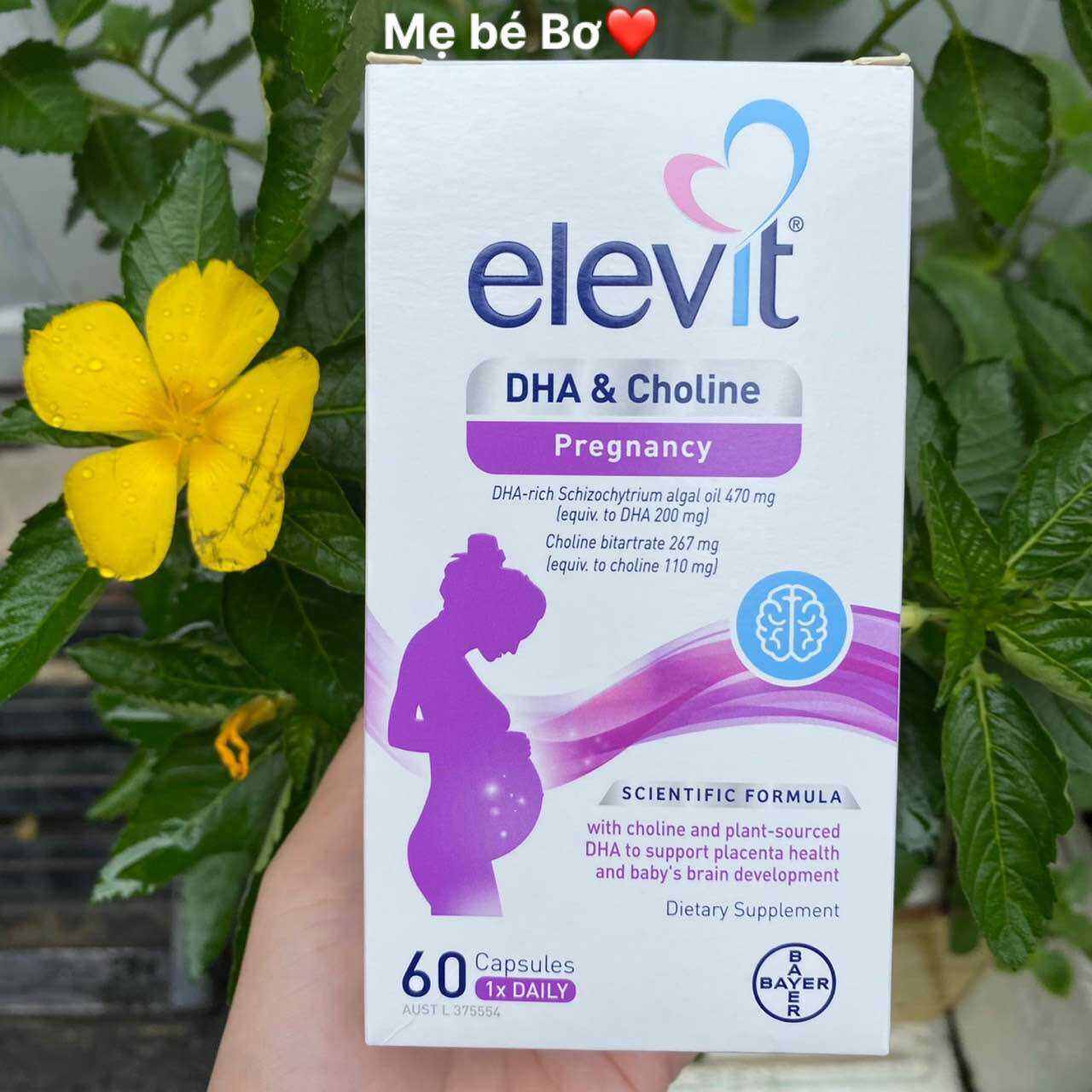 Viên DHA Elevit Úc dành cho mẹ bầu và cho con bú, hộp 60 viên, mẫu mới