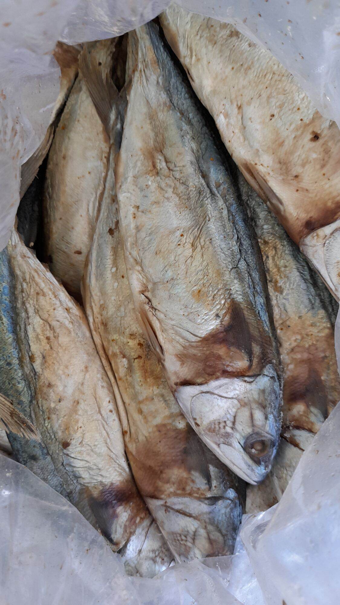 Mắm cá mạc má size lớn 1kg