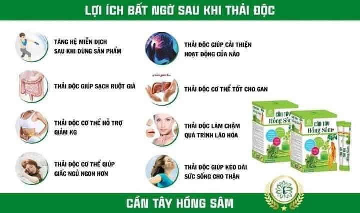 5 hộp Cần Tây Hồng Sâm Lan Chi