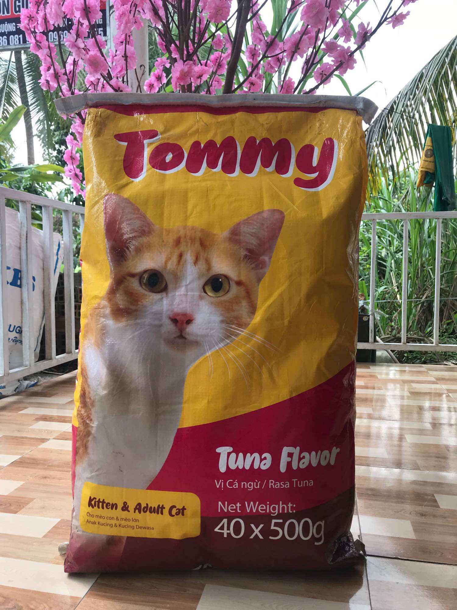 THỨC ĂN CHO MÈO TOMMY mọi lứa tuổi (500g)