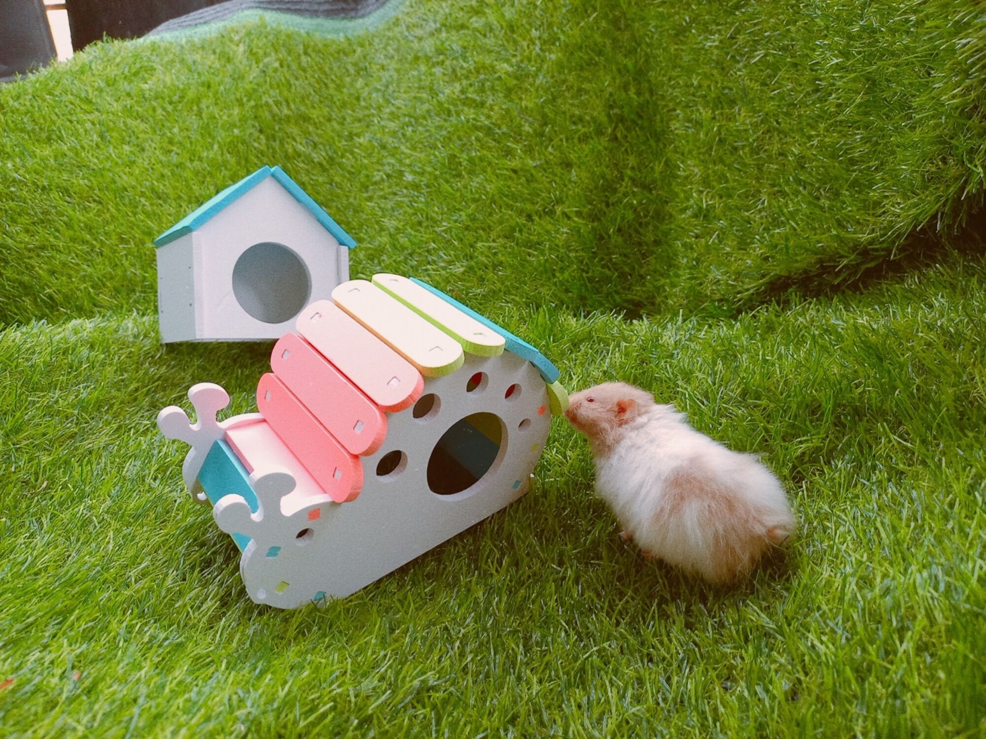 Nhà ngủ hamster lắp ráp cực xinh