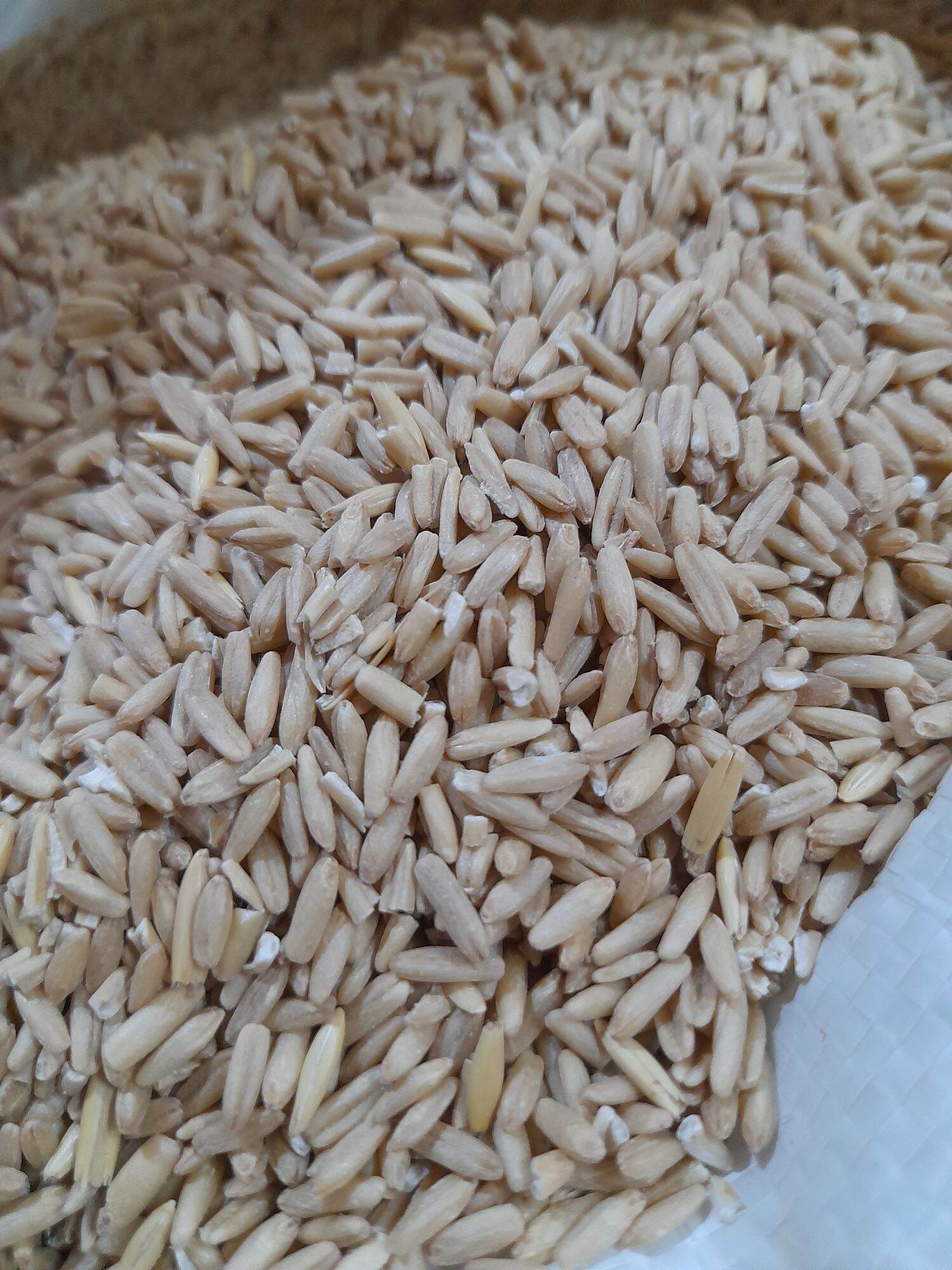 Yến mạch canada tách vỏ 1kg