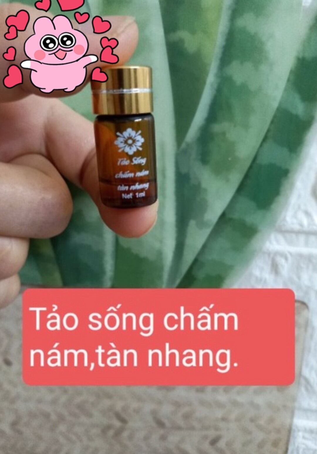 Tảo sống chấm nám tàn nhang