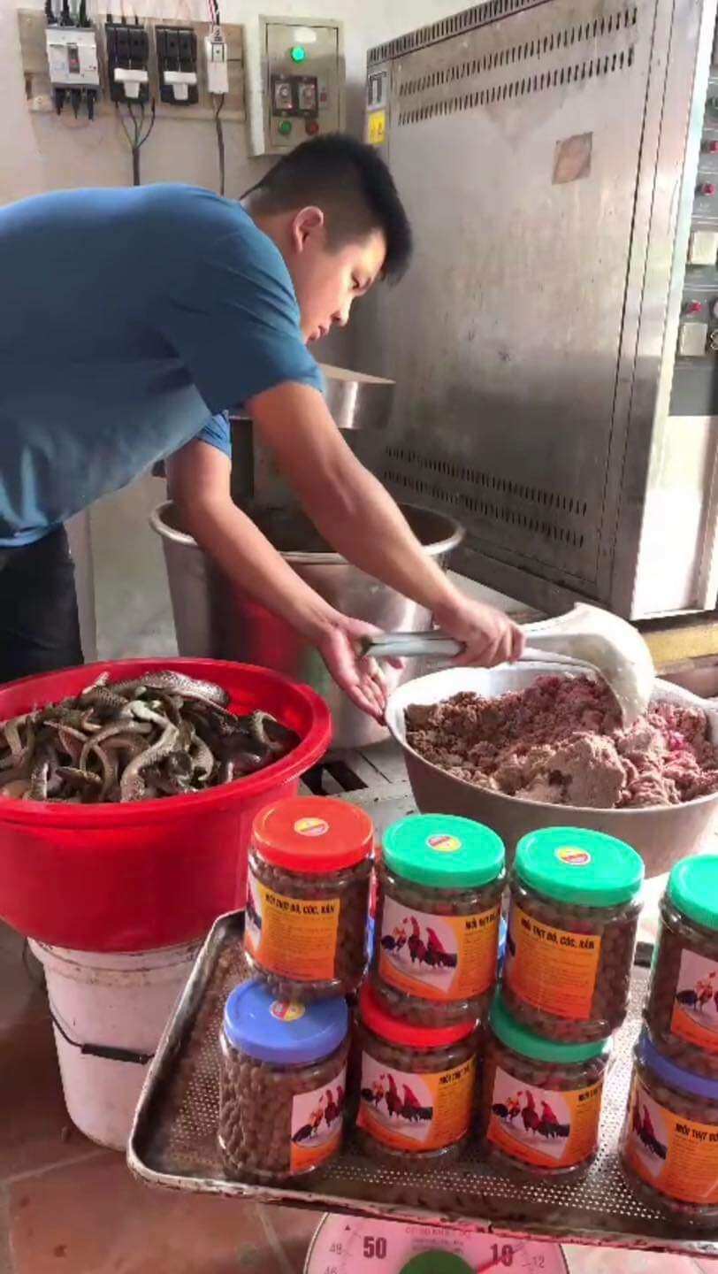 Mồi thit bò cóc rắn dùng cho ga tơ, ga chế đô