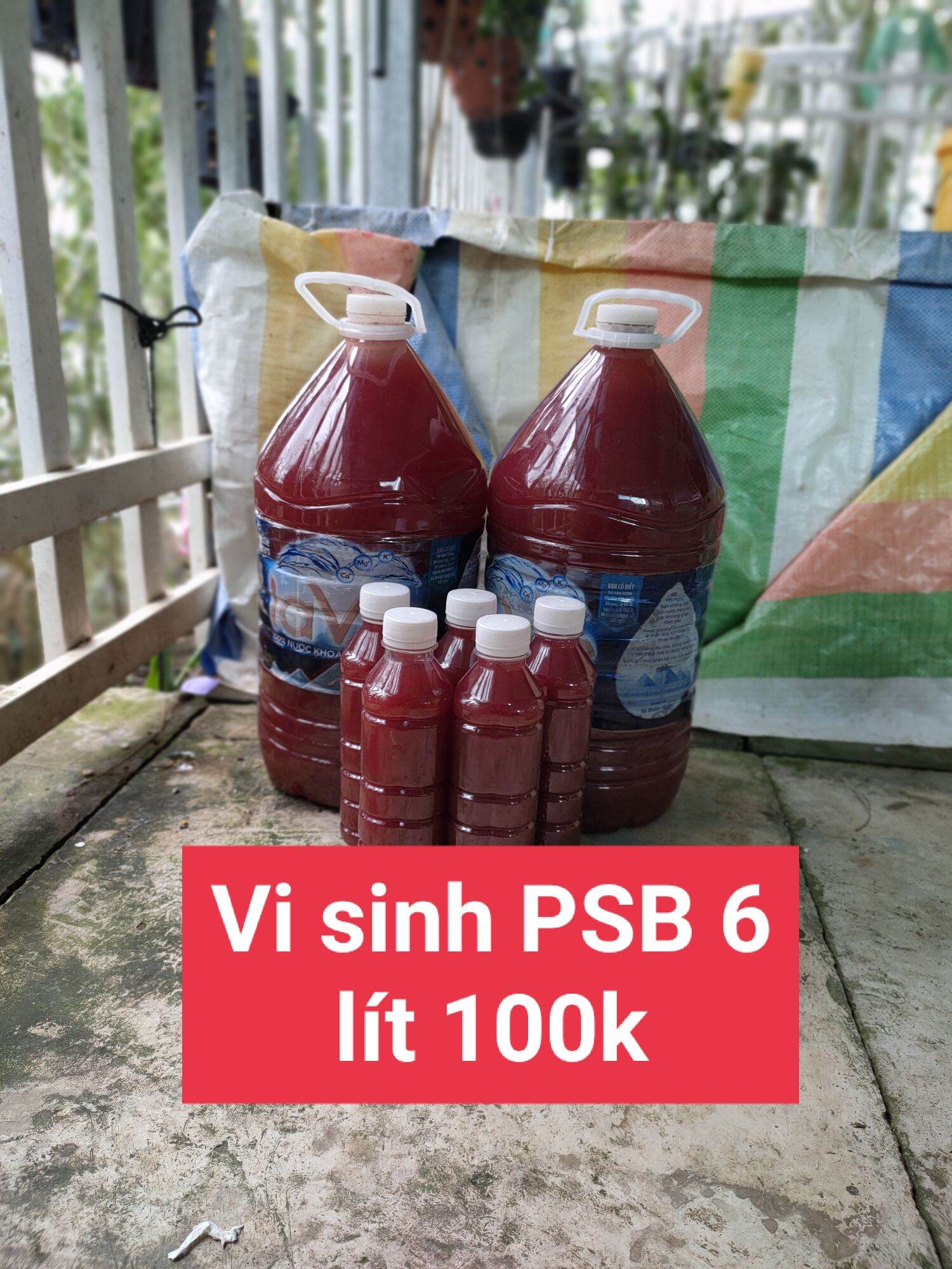 Vi sinh psb bình 6 lít 100k