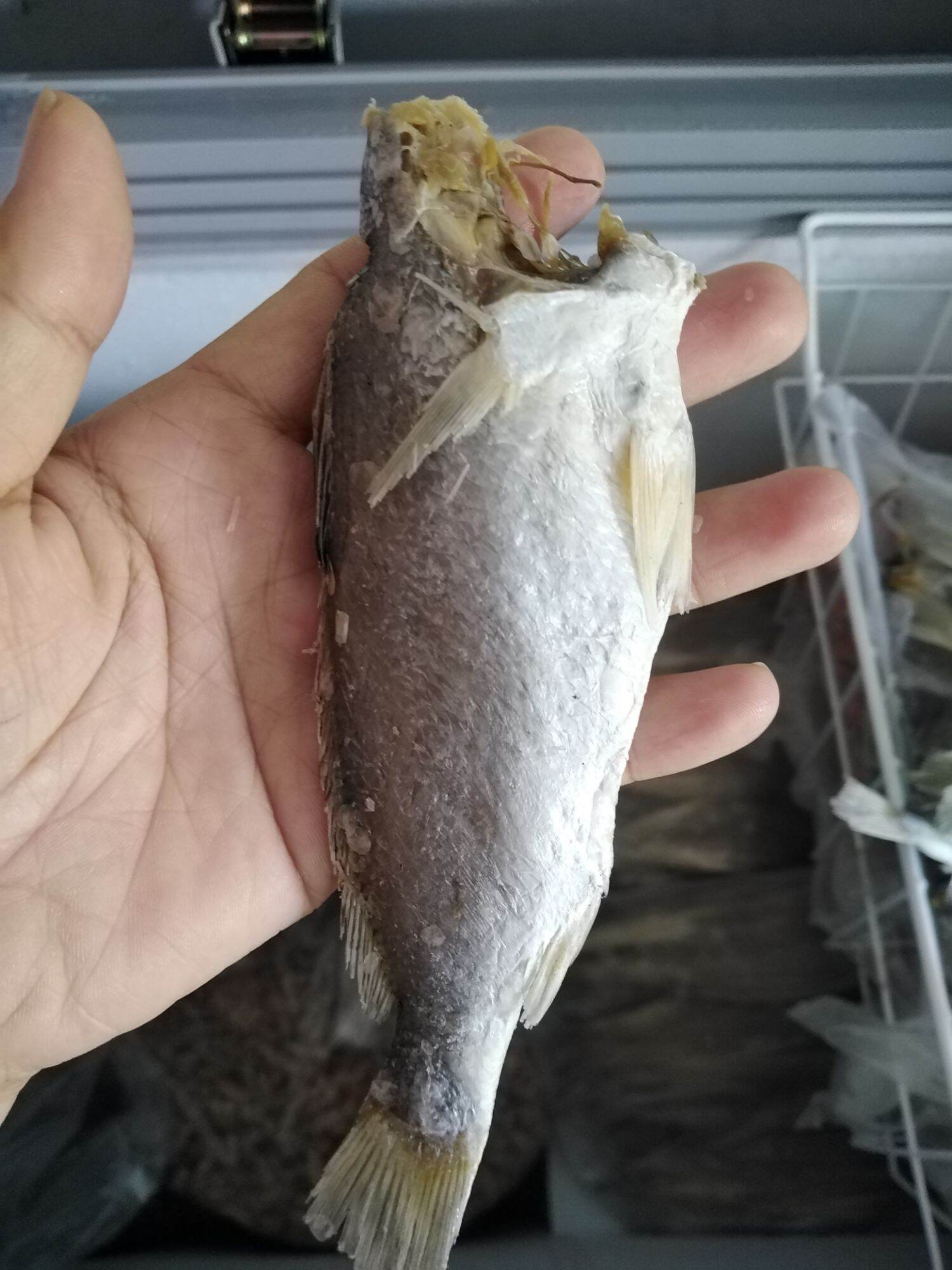 Khô cá lù đù 500g