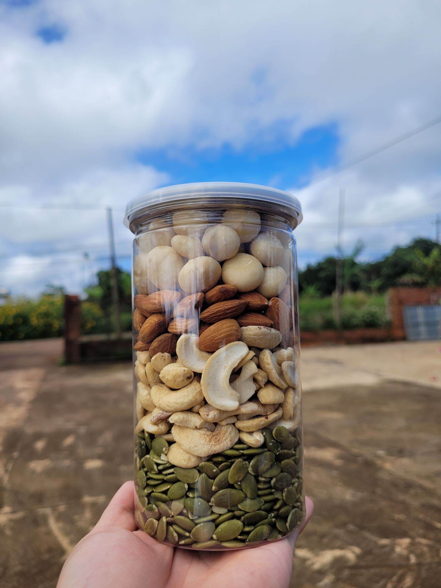 Mix hạt dinh dưỡng 500g (Sấy toàn bộ)