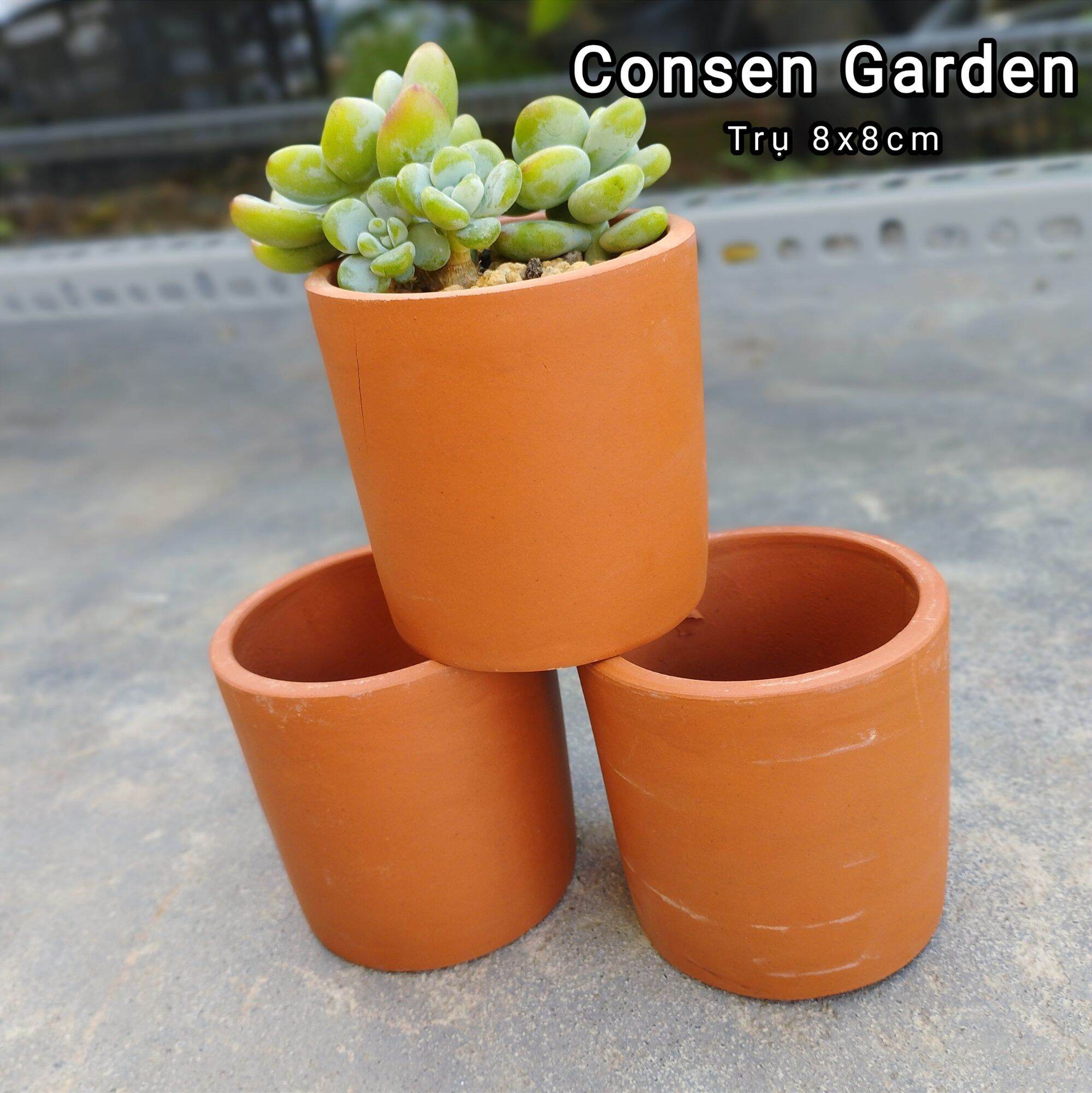 Chậu đất nung trồng sen đá trụ 8x8cm