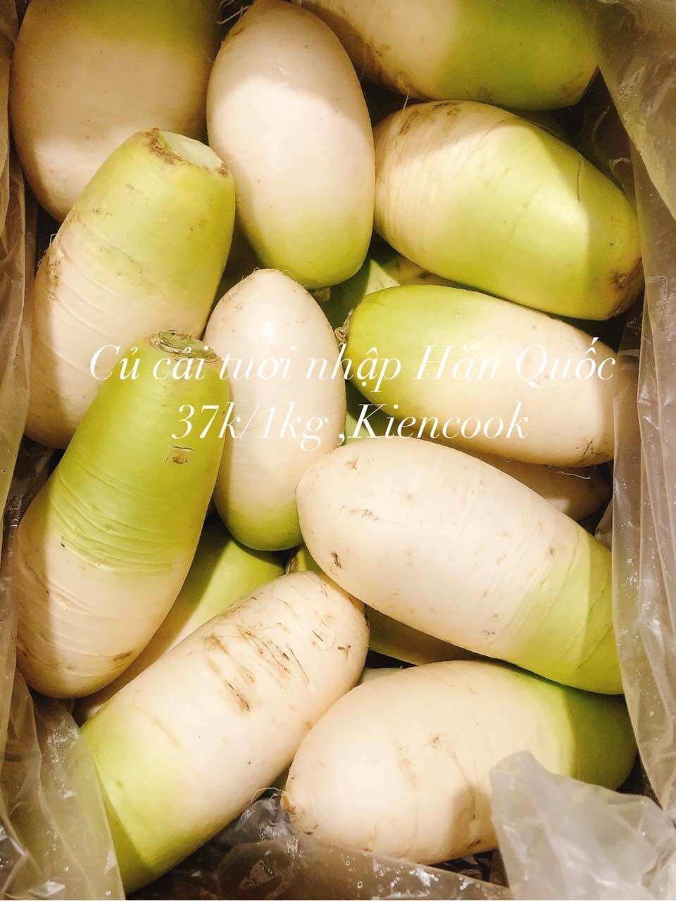 Fresh Korean Radish 1Kg_1.3Kg