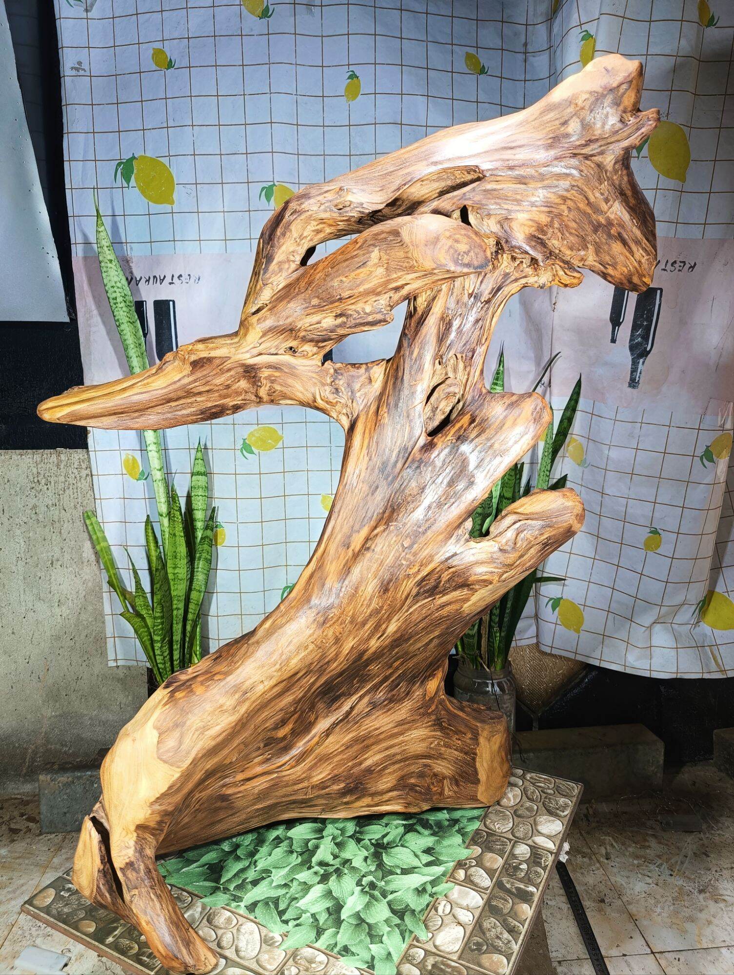 lũa gỗ thơm ngọc am đỏ hà giang