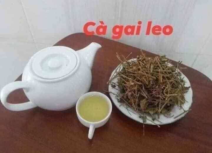 Cây cà gai leo khô (0.5_5kg)