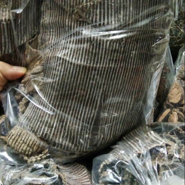 500g đỗ trọng