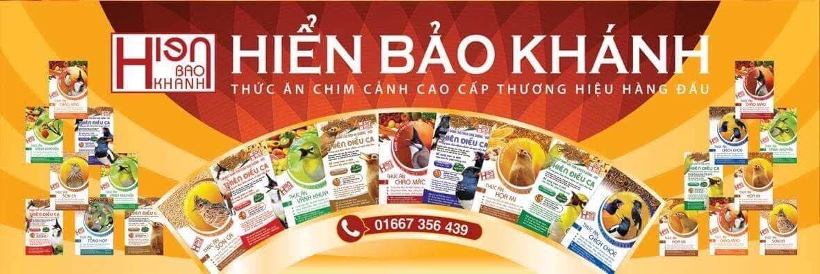 Cám Chòe Than Cao Cấp Hiển Bảo Khánh căng lửa
