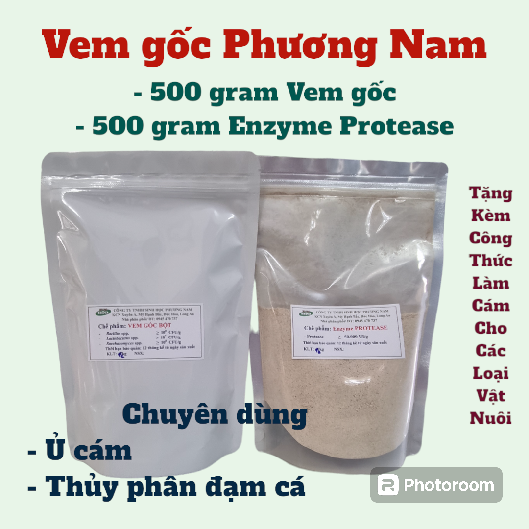 Men vi sinh ủ đạm cá