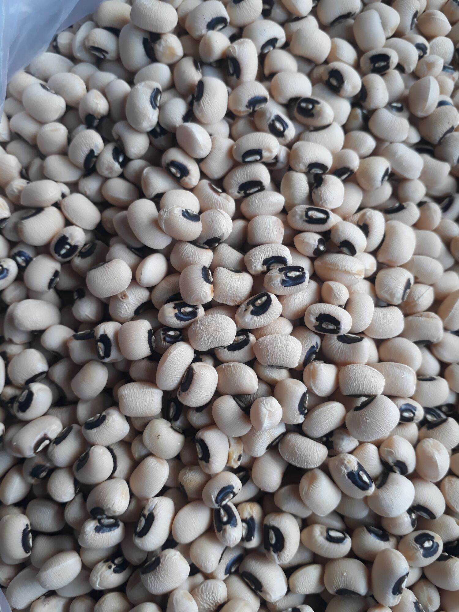 Đậu trắng mắt cua (đậu mắt đen) 500g