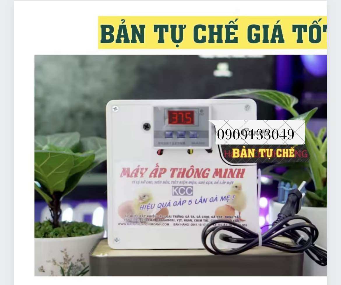 Máy ấp trứng mini thông minh 2024 bảo hành 2 năm