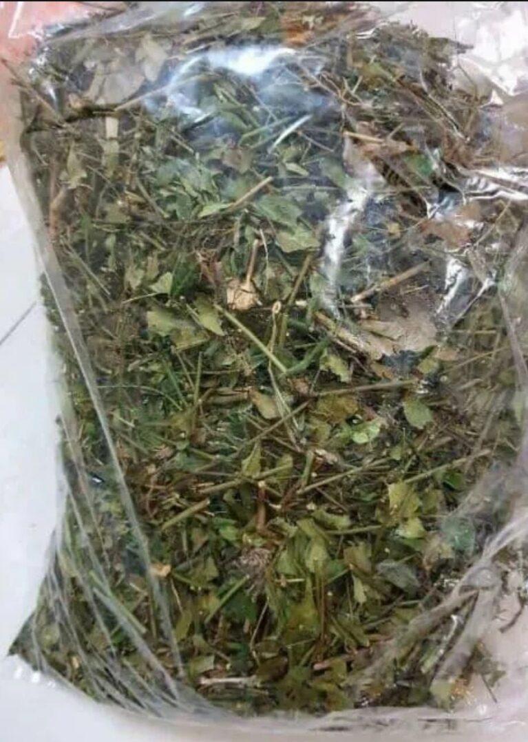 TRÀ CHÈ VẰNG ( Bịch 30g)
