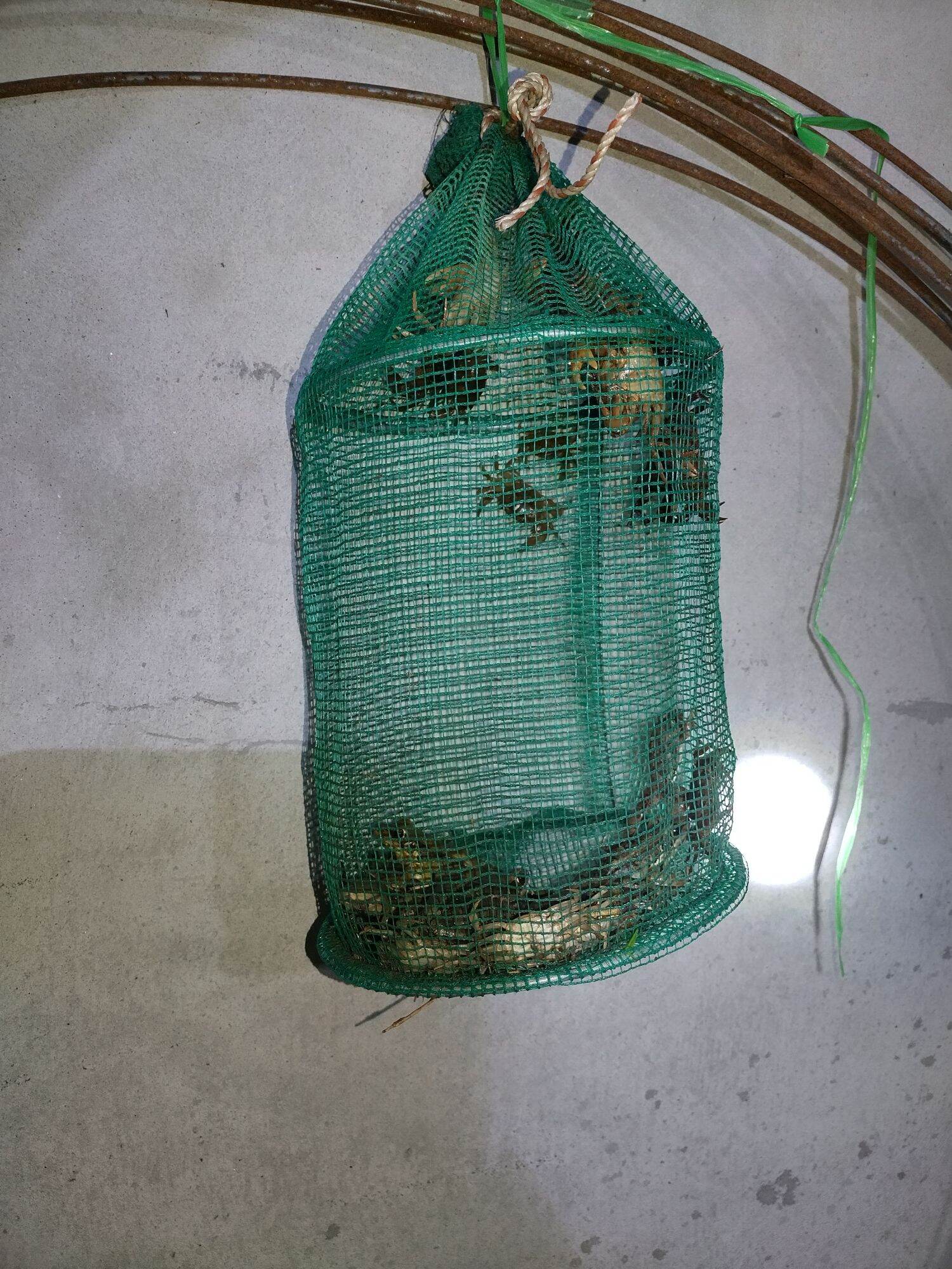 Bags for Shrimp, Crab, Fish, and Fish Nets