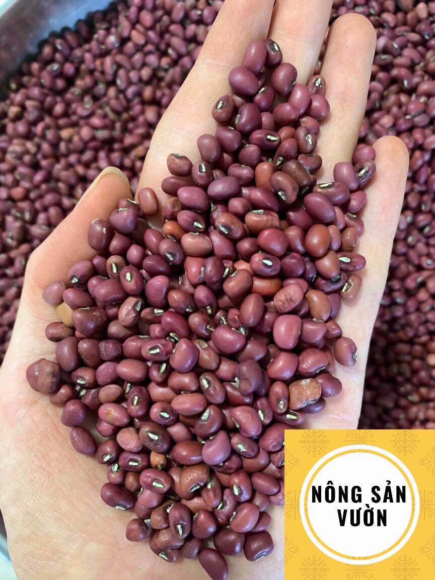 Đậu đỏ quê tây ninh