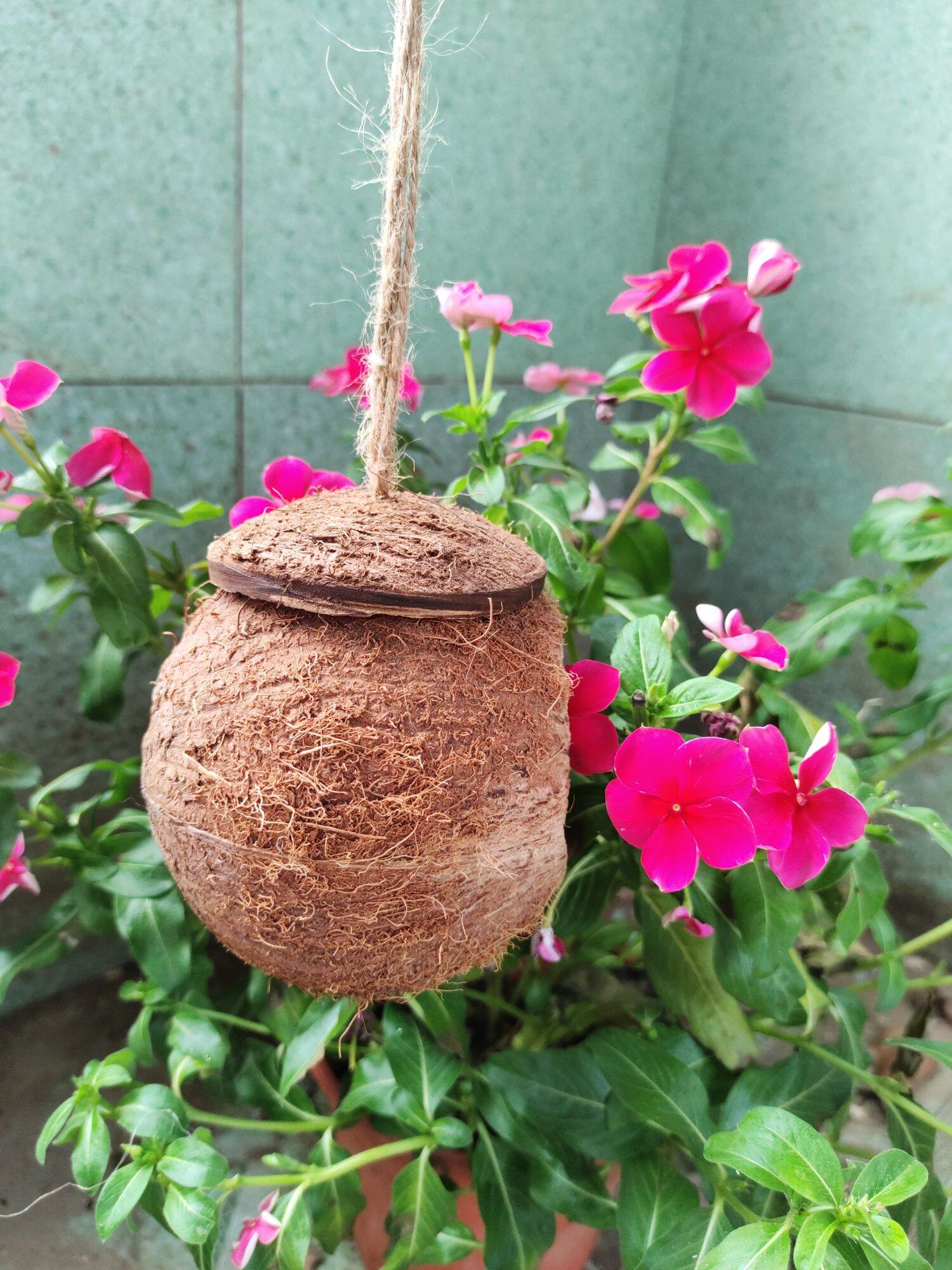 TỔ CHIM HAMSTER THÚ CƯNG GÁO DỪA MINI SIZE