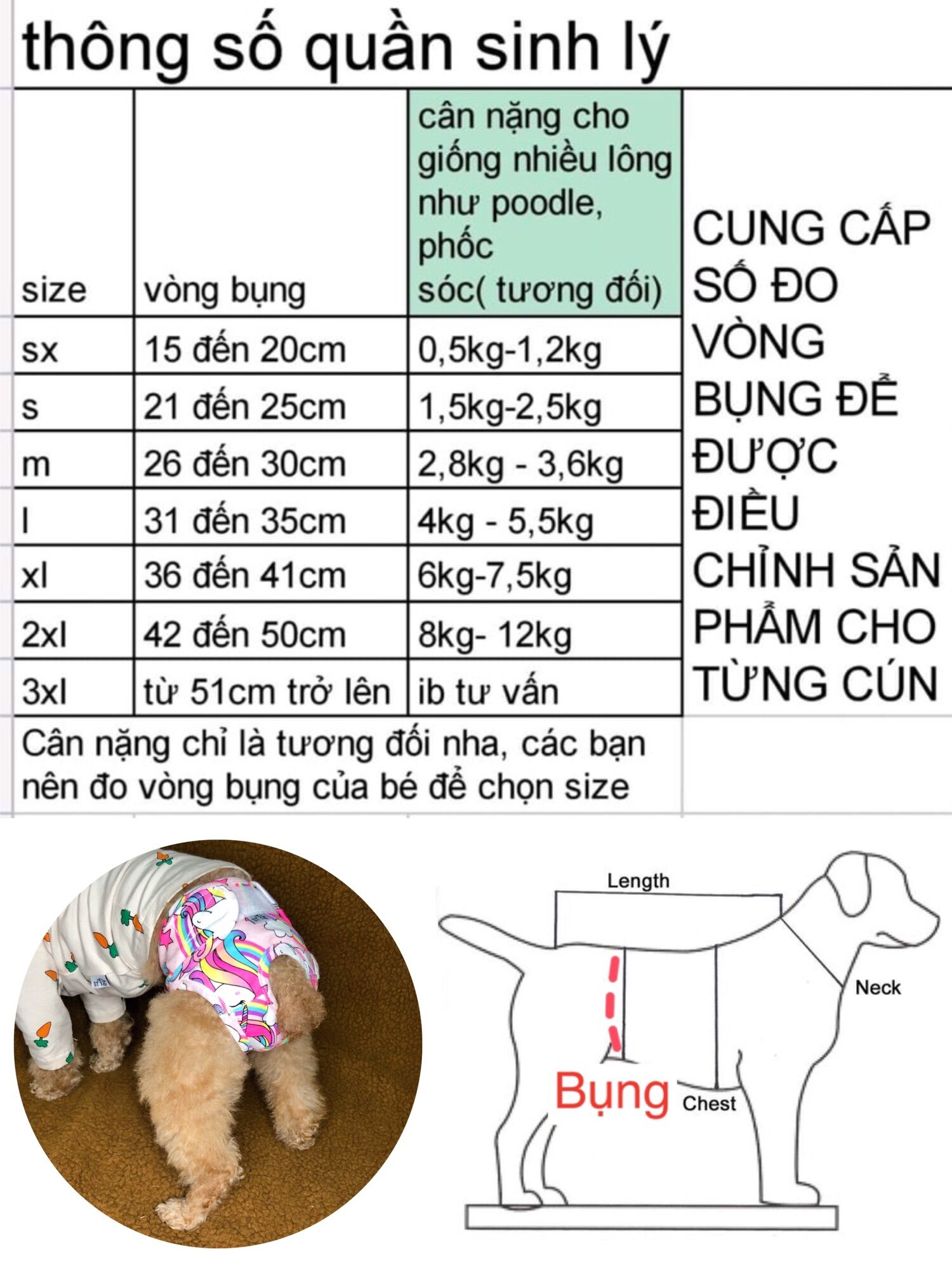 Quần sinh lí chó cái đến kì rụng dâu(xalo)