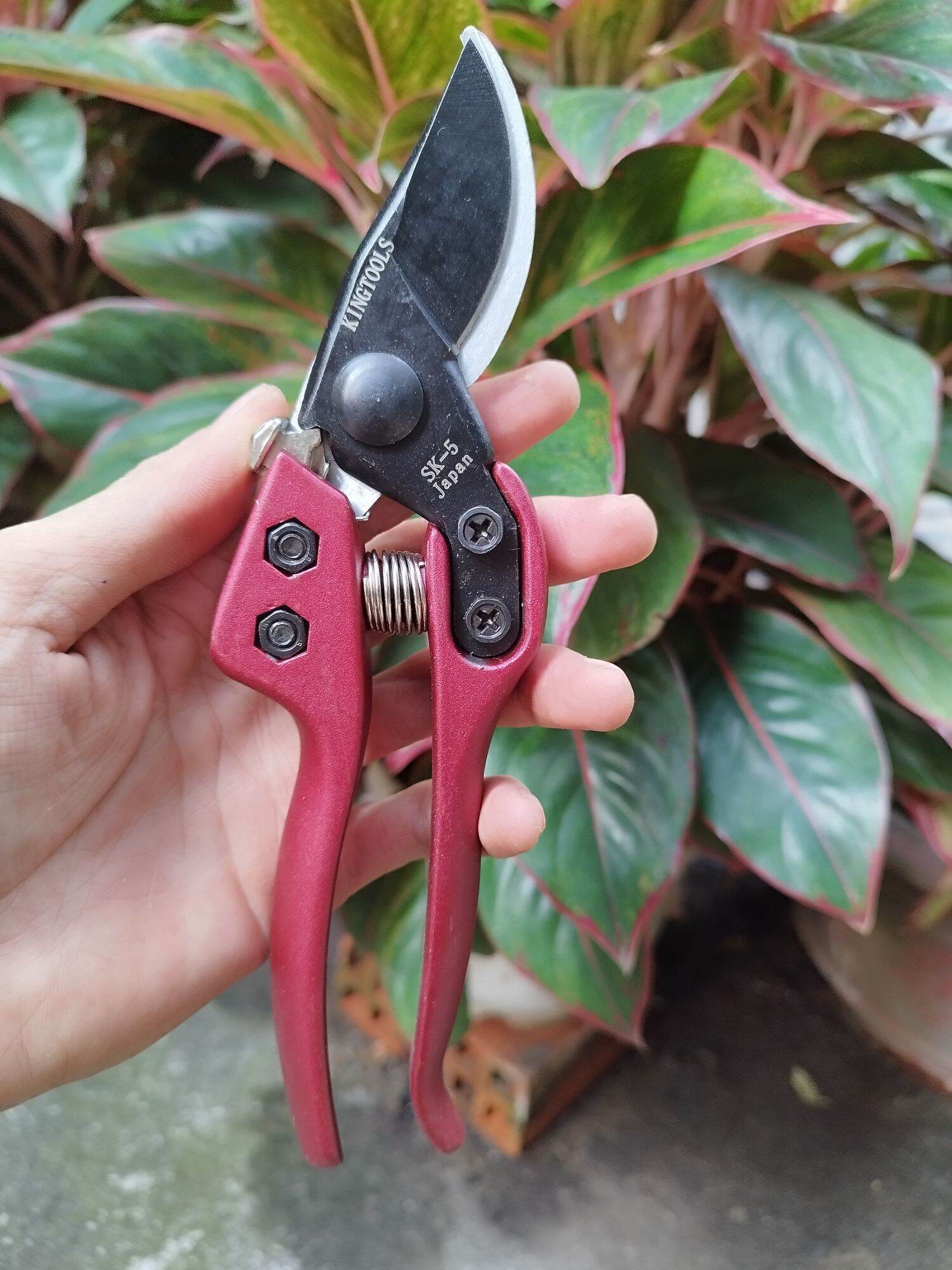 kéo cắt cành kapusi